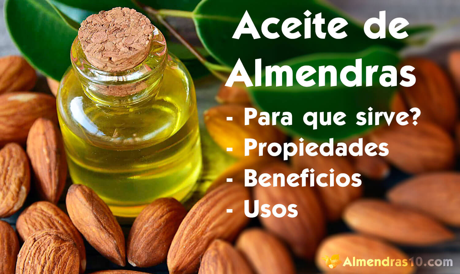 Los beneficios y usos del aceite de almendras para tu cara